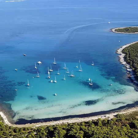 Verunic 8104a * Veli Rat