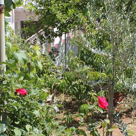 Verunic 8104a Apartmán Veli Rat