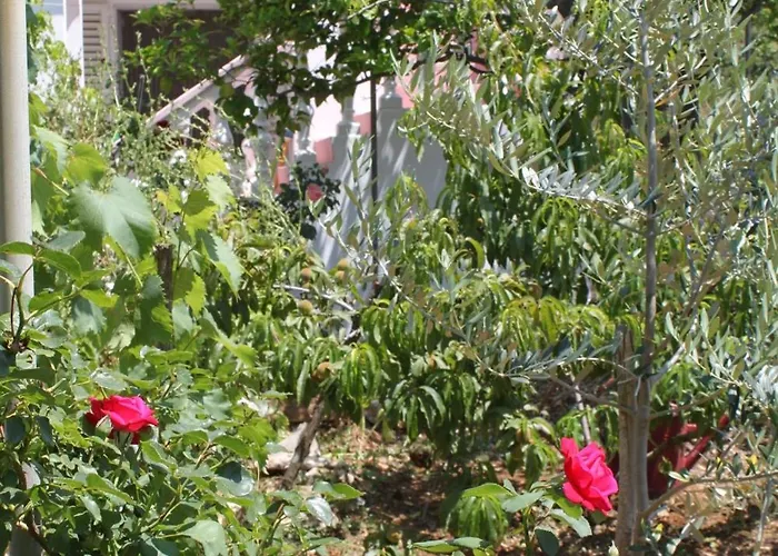 Verunic 8104a Апартаменты Вели-Рат