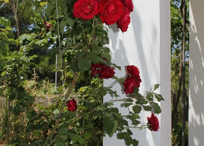 Апартаменты Verunic 8104a Вели-Рат